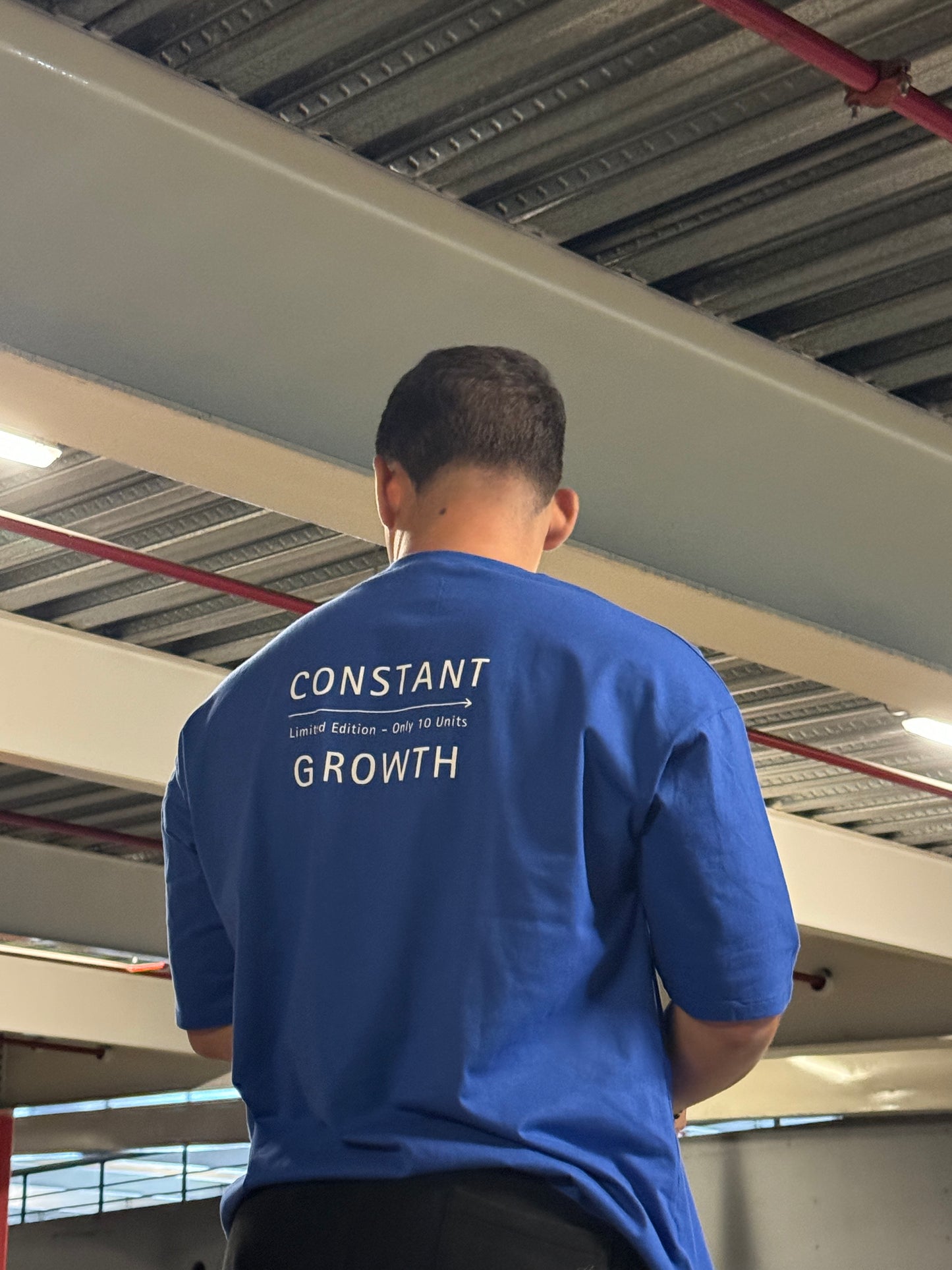 REMERA OVERSIZE UNISEX CONSTANT GROWTH